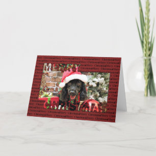 Christmas - Cocker Spaniel X - Pepper Holiday Card