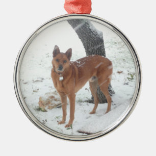 Christmas Collection Add Pet or Family Photo Metal Tree Decoration