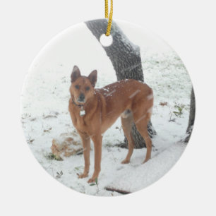 Christmas Collection In Memory of Champ Ceramic Tree Decoration