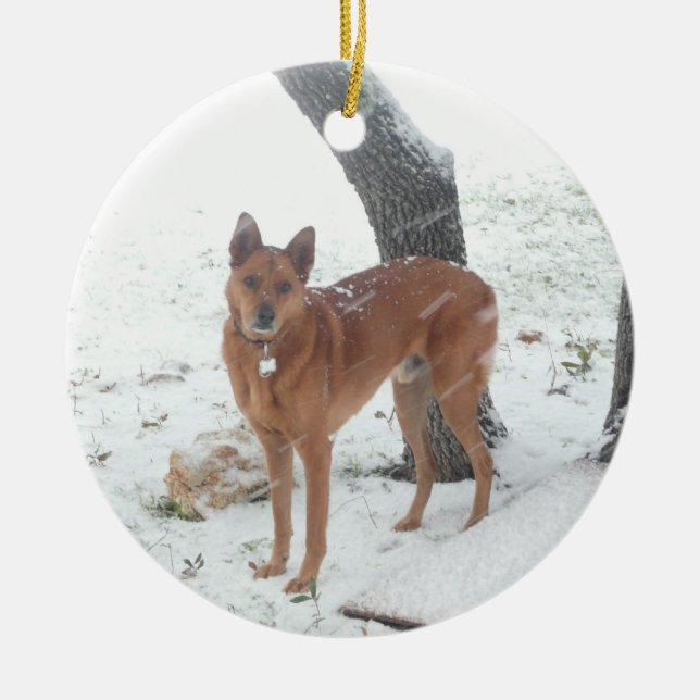 Christmas Collection In Memory of Champ Ceramic Tree Decoration (Front)