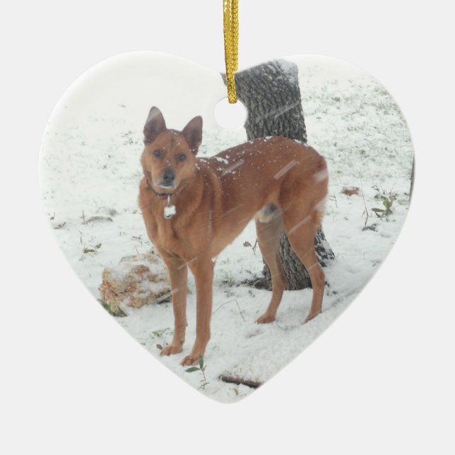 Christmas Collection Pet or Family Photo Ceramic Tree Decoration (Front)