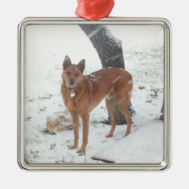 Christmas Collection Pet or Family Photo Metal Tree Decoration (Front)