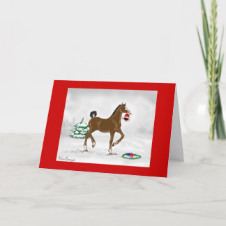 Christmas Colt Card
