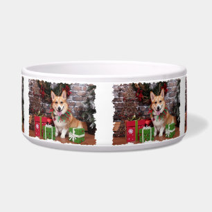 Christmas - Corgi - Cal