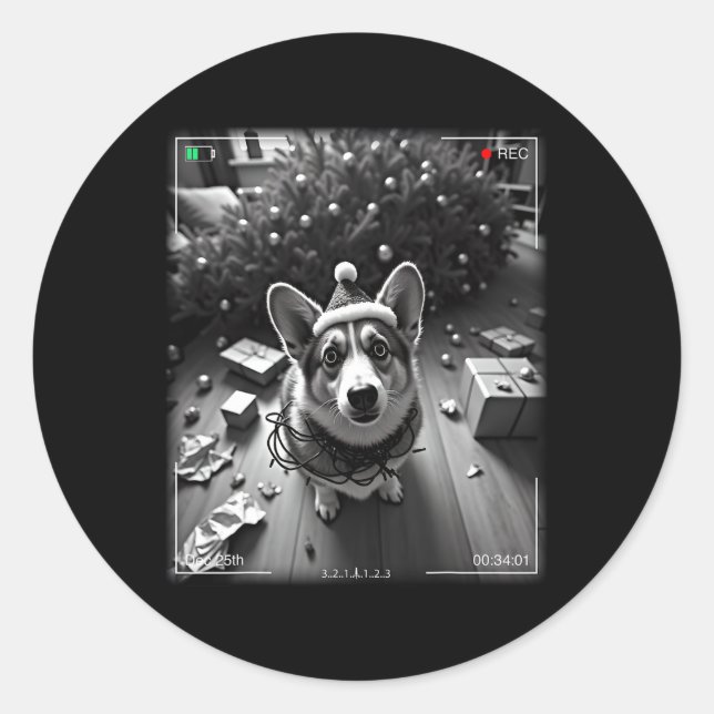 Christmas Corgi Caught On Camera  Classic Round Sticker (Front)