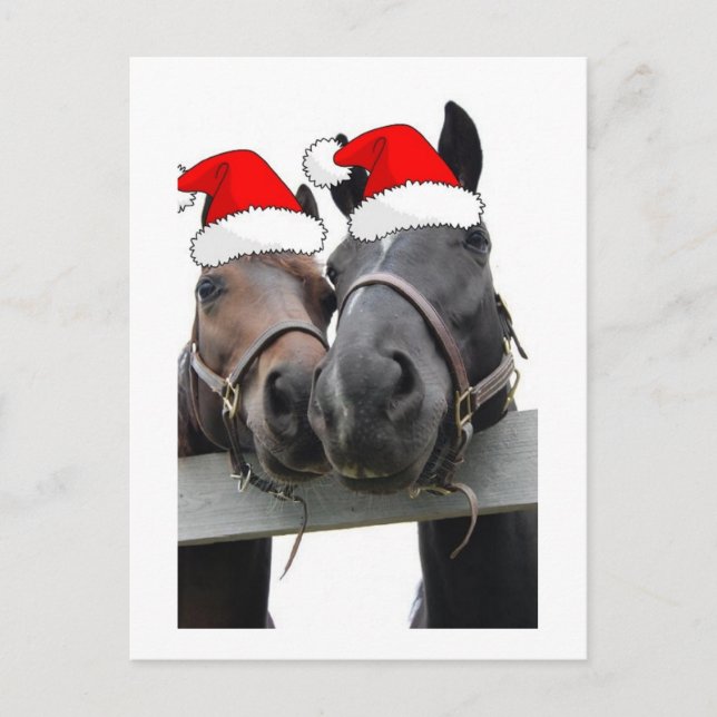 Christmas Country Horses Holiday Postcard (Front)