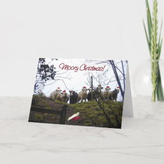 Christmas cows wearing Santa hats. Holiday Card