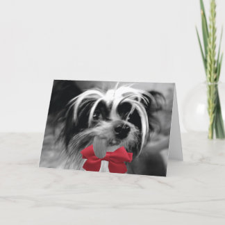 Christmas Crested (ME) Holiday Card