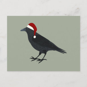 Christmas Crow Holiday Postcard