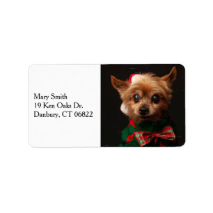 Christmas custom pet photo stylish label