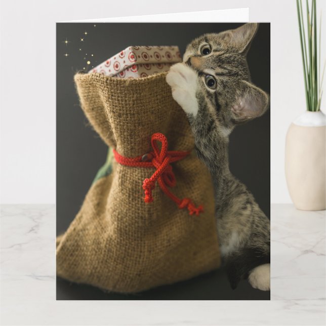  CHRISTMAS CUTE CAT SURPRISES Greeting Card (Front)