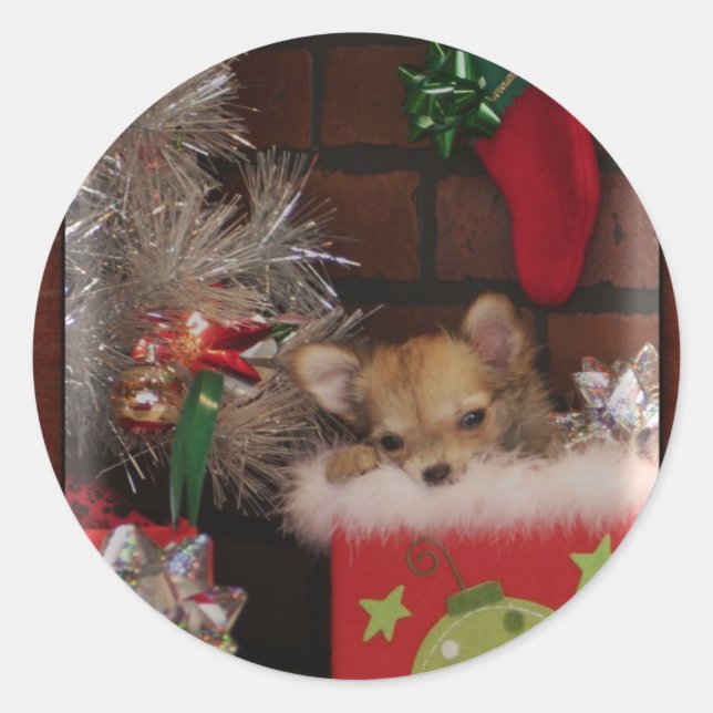 Christmas Cute Chihuahua Puppy In Box Classic Round Sticker (Front)