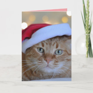 CHRISTMAS CUTE GINGER CAT GREETING CARD