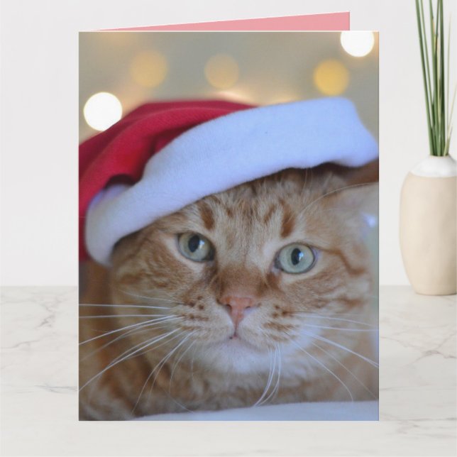 CHRISTMAS CUTE GINGER CAT GREETING CARD (Front)