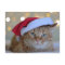 CHRISTMAS CUTE GINGER CAT POSTCARDS