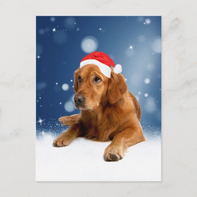 Christmas Cute Golden Retriever Dog Santa Hat Snow Holiday Postcard (Front)