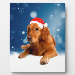 Christmas Cute Golden Retriever Dog Santa Hat Snow Plaque