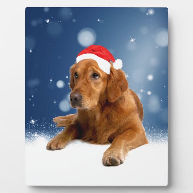 Christmas Cute Golden Retriever Dog Santa Hat Snow Plaque (Front)
