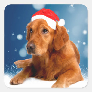 Christmas Cute Golden Retriever Dog Santa Hat Snow Square Sticker