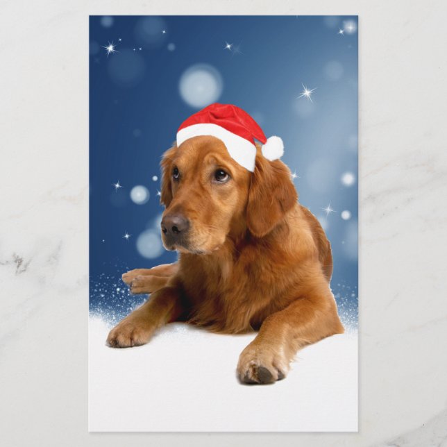 Christmas Cute Golden Retriever Dog Santa Hat Snow Stationery (Front)
