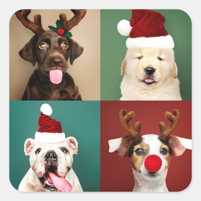 Christmas Cute Santa Reindeer Puppies Custom Square Sticker (Front)