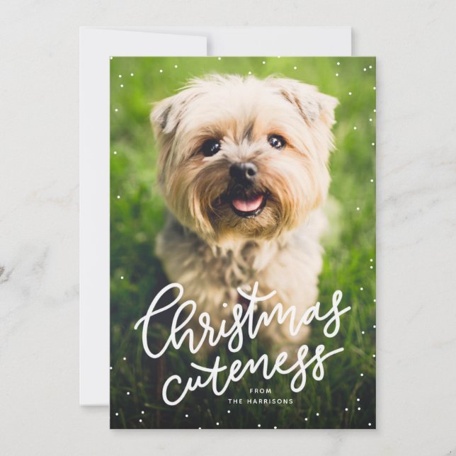Christmas cuteness cute pet holiday card (Front)
