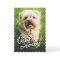 Christmas cuteness cute pet holiday card