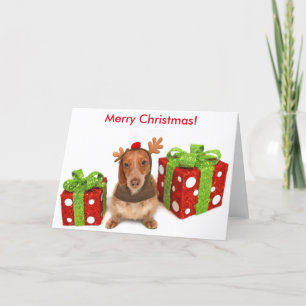 Christmas Dachshund Holiday Card