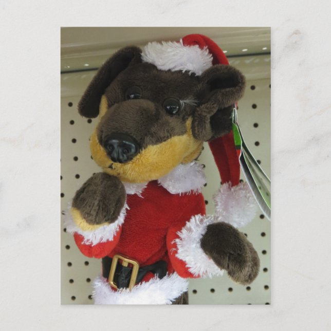 Christmas Dachshund Holiday Postcard (Front)