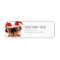 Christmas Dachshund Puppies Wearing Santa Hats