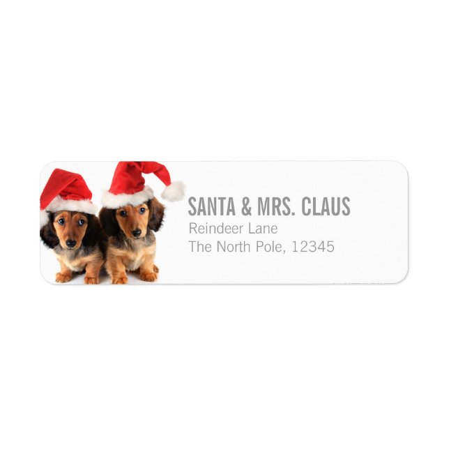 Christmas Dachshund Puppies Wearing Santa Hats (Front)