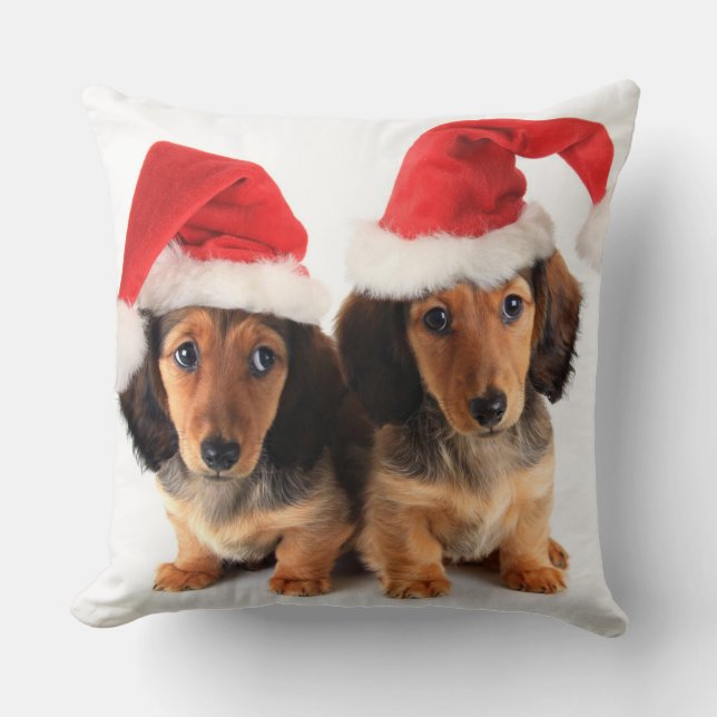 Christmas Dachshund Puppies Wearing Santa Hats Cushion (Front)
