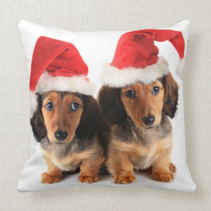 Christmas Dachshund Puppies Wearing Santa Hats Cushion