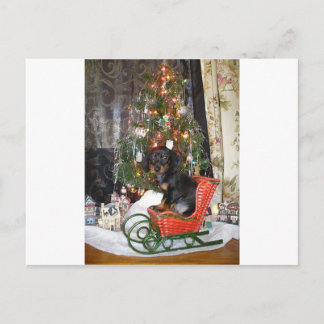 Christmas Dachshund Style Holiday Postcard