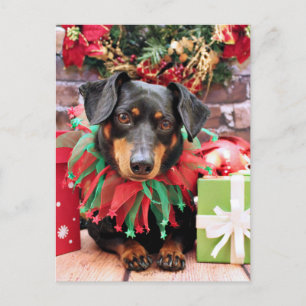 Christmas - Dachshund - Tanner Holiday Postcard