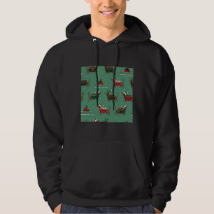 Christmas Dachshunds And Sleighs Hoodie