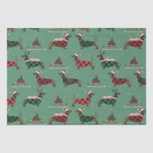 Christmas Dachshunds Wearing Sweater & Santa Hat Tissue Paper