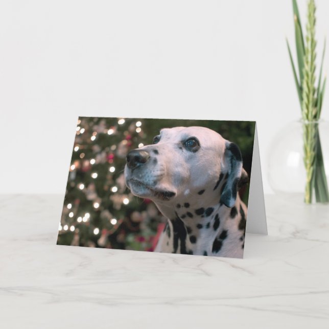 Christmas Dalmatian Holiday Card (Front)