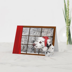 Christmas dalmatian holiday card