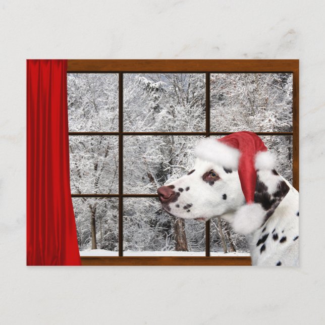 Christmas dalmatian holiday postcard (Front)