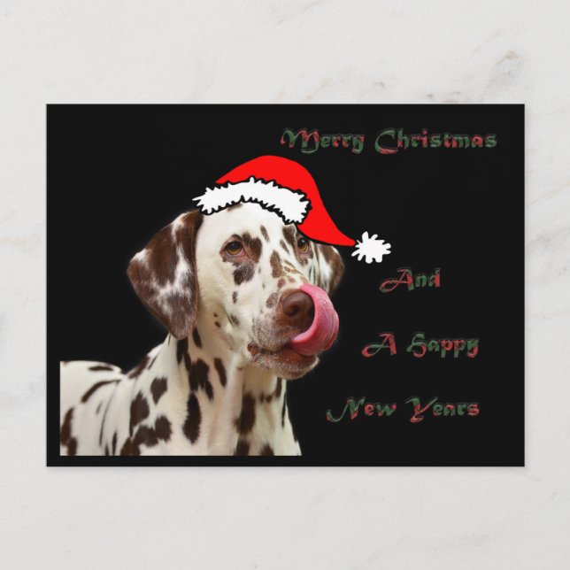 Christmas Dalmatian Postcard (Front)