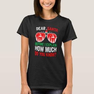 Christmas Dear Santa Before I Explain How Much Do  T-Shirt