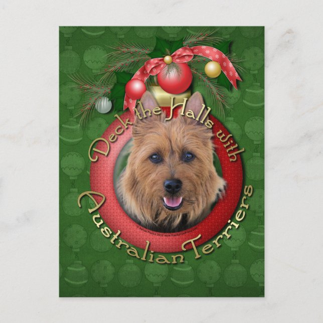 Christmas - Deck the Halls - Australian Terriers Holiday Postcard (Front)