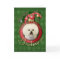 Christmas - Deck the Halls - Bichons