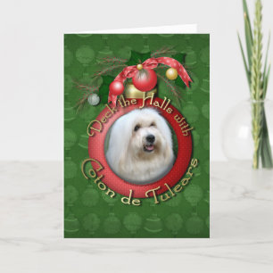 Christmas - Deck the Halls - Cotons Holiday Card
