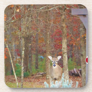 Christmas Deer Coaster
