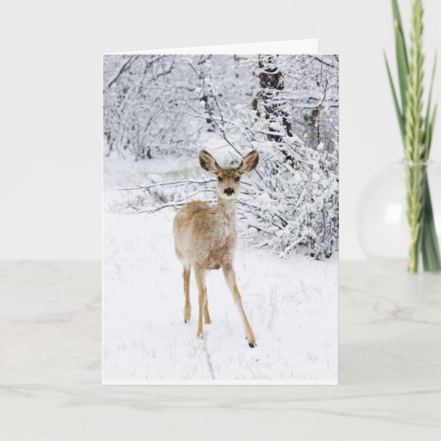 Christmas Deer Holiday Card (Front)