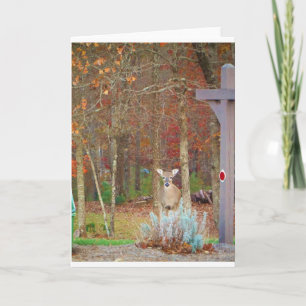 Christmas Deer Holiday Card