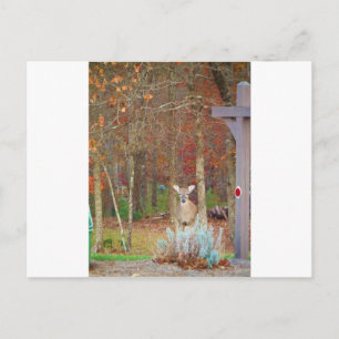 Christmas Deer Holiday Postcard