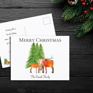 Christmas Deer in Snow Holiday Postcard
